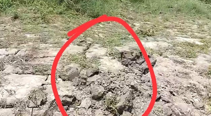 টাঙ্গাইলের মির্জাপুরে মাটি চাপা দেওয়া মা ও নবজাতকের মরদেহ উদ্ধার